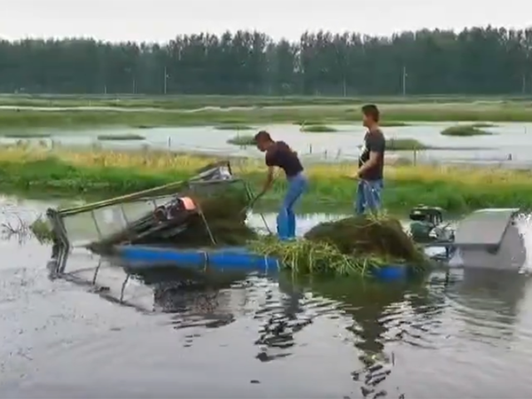 小型（xíng）割草（cǎo）船